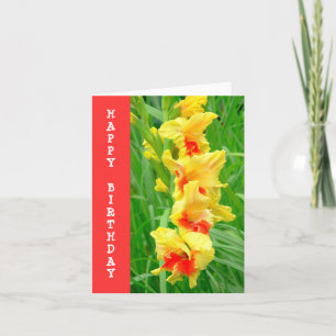 GULT & RED GLADIOLUS/GRATTIS PÅ FÖDELSEDAGEN KORT