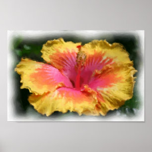 Gult Red Hibiscus Flower Art Photo Painting Poster