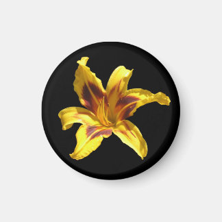 Gult & Red Lily Magnet