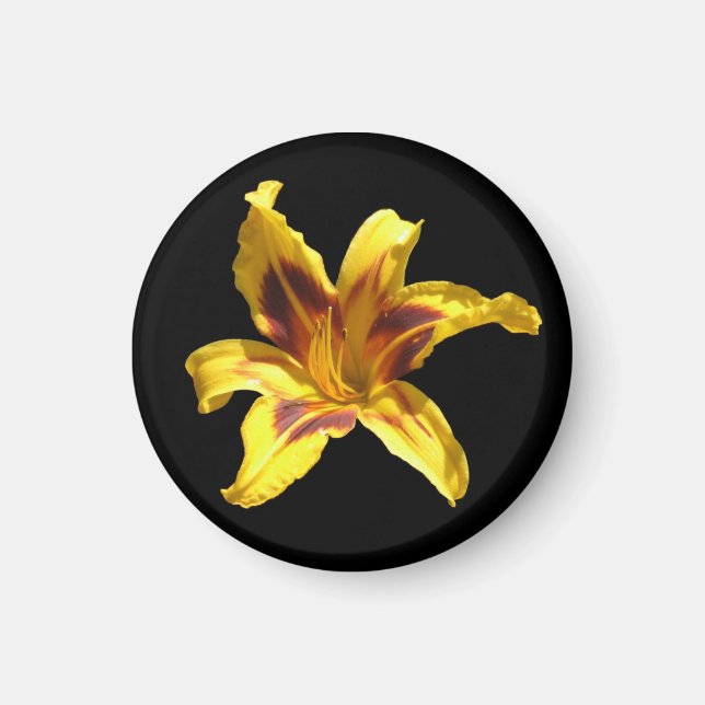 Gult & Red Lily Magnet (Framsidan)