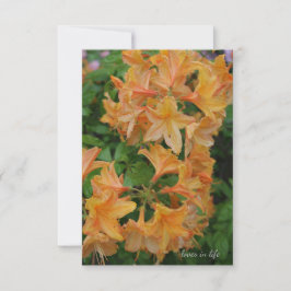 Gult Rhododendron Anteckningskort