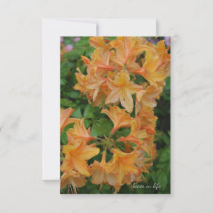 Gult Rhododendron Anteckningskort