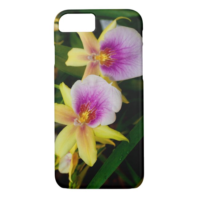 Gult Rosa Lila Miltonia Sunset Orchids Case-Mate iPhone Skal (Baksida)