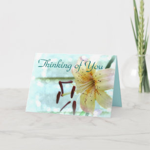 Gult/Rosa Lily Thinking You Card Kort