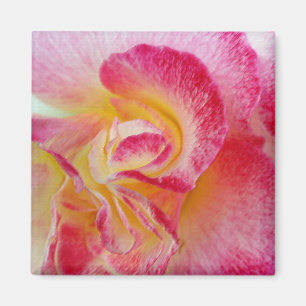 gult rosa petals magnet