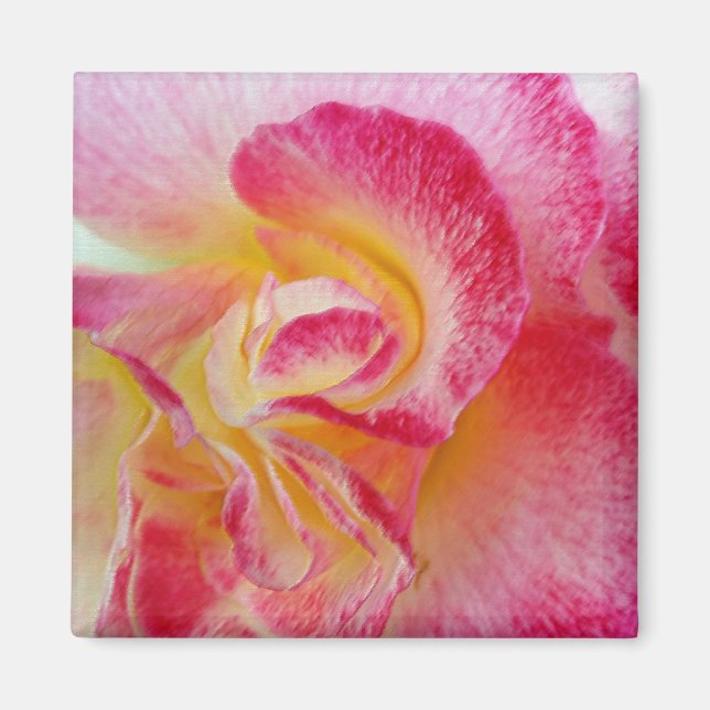 gult rosa petals magnet (Framsidan)