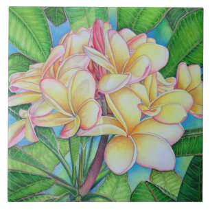Gult Rosa Plumeria Kakelplatta