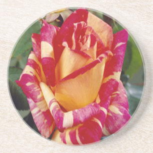 Gult Rosa ros Underlägg Sandsten