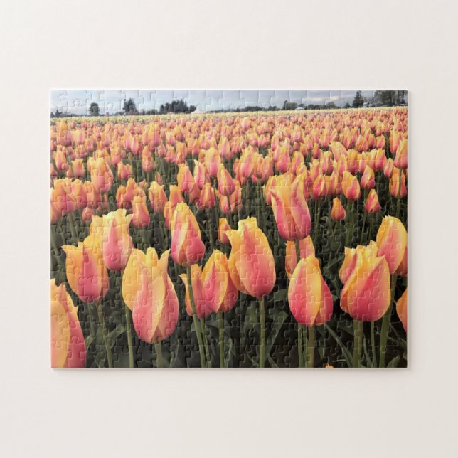 Gult & Rosa Tulip Fält, Oregon Pussel (Horisontell)