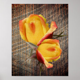 Gult Rosenknopp Flowers på Barnboard Poster