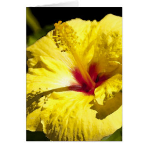 Gult/rött hibiskuskort hälsningskort