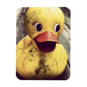 Gult Rubber Ducky behöver ett badrum! Magnet