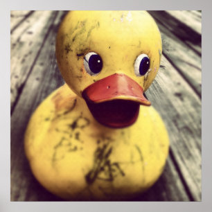 Gult Rubber Ducky behöver ett badrum! Poster