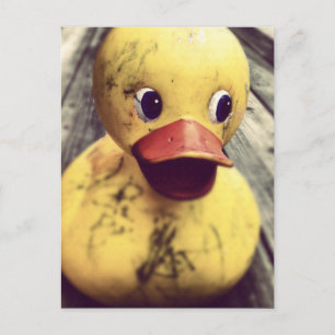 Gult Rubber Ducky behöver ett badrum! Vykort