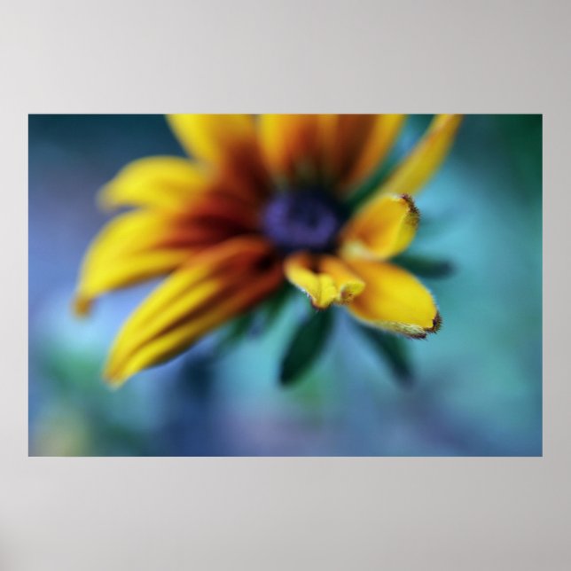 Gult Rudbeckia Flower Macro Abstrakt Poster (Framsidan)