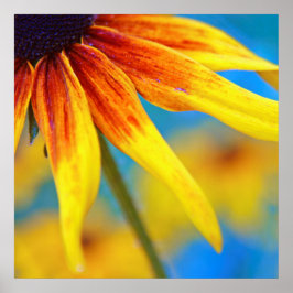 Gult Rudbeckia Flower Macro Abstrakt Poster