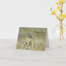 Gult-Rumped Warbler - Att tänka på dig