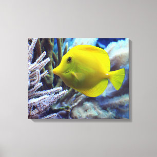 Gult Saltwater Tang Fish Canvastryck