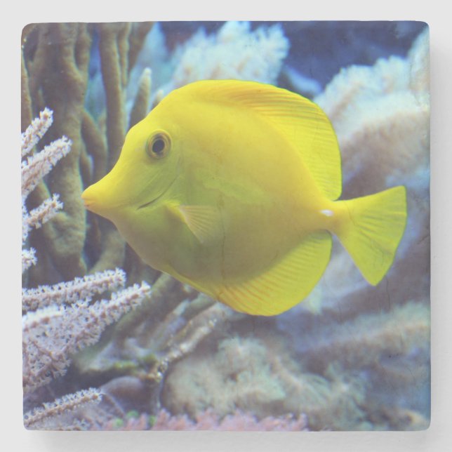 Gult Saltwater Tang Fish Stenunderlägg (Framsidan)