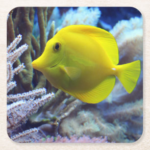 Gult Saltwater Tang Fish Underlägg Papper Kvadrat