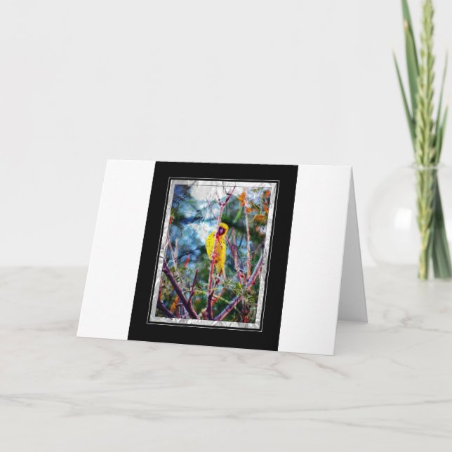 Gult Sång Kort (Framsida)