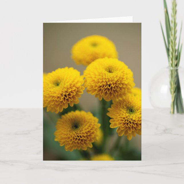 Gult Santini Chrysanthemum Flowers Kort (Framsida)