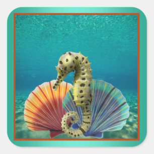 Gult Seahorse and Scallop Snäckors Sticker Fyrkantigt Klistermärke