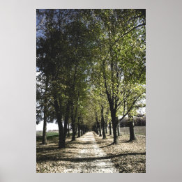 gult skogen-gump poster