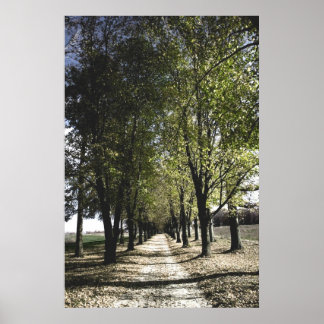 gult skogen-gump poster