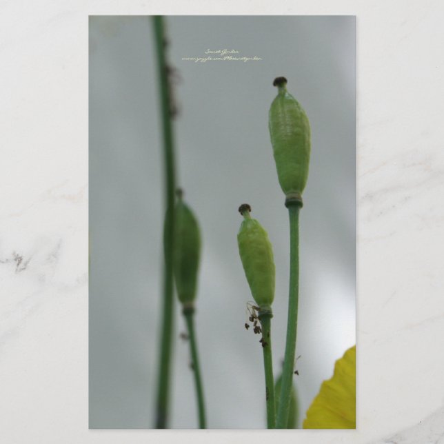 Gult - skuggning för 11-personligers mallsida brevpapper (Framsida)