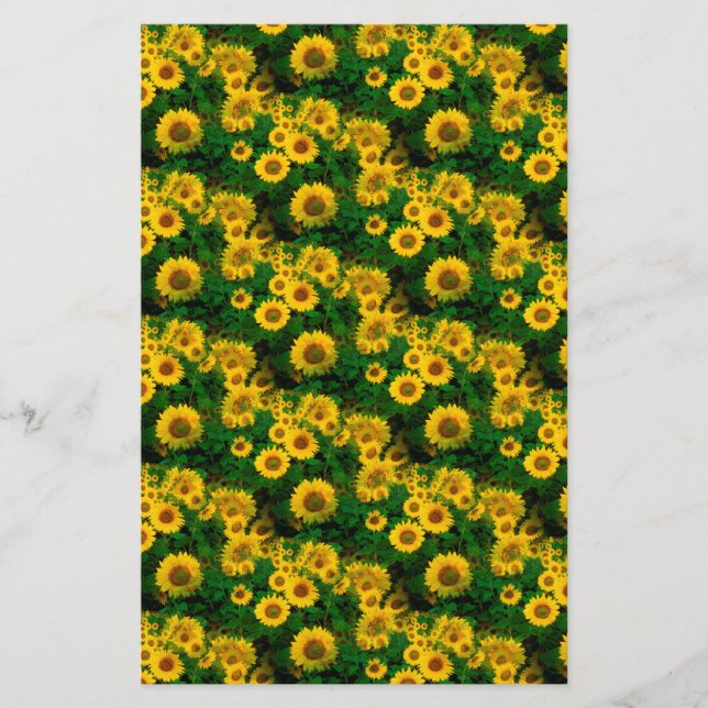 gult solblommor brevpapper (Framsida)