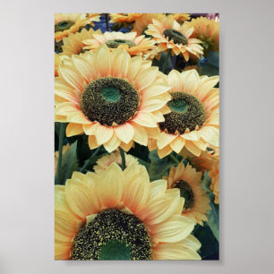 Gult solblommor gör mig lycklig poster