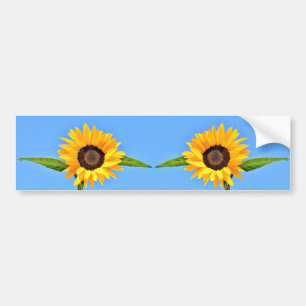 Gult Solblommor mot Sol på Blå himmel - Sommar Bildekal