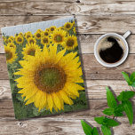 Gult Solblommor, naturfoto Pussel<br><div class="desc">Njut av det vackra fotot av ljusa solblommor i gult som närmar sig skörden,  ett färgstarkt foto för att lösa ett pussel!</div>