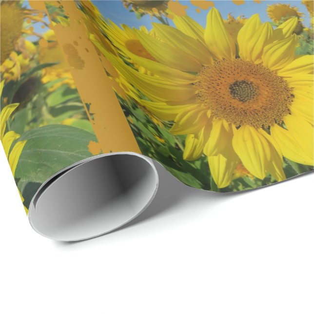 gult solblommor på sommaren presentpapper (Rullad Hörn)