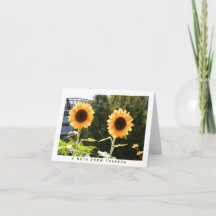 Gult Solblommor Personlig Note Card