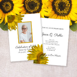 Gult Solros Blommar Firande Life Inbjudningar