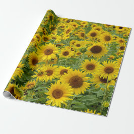 Gult Solros Fält Presentpapper