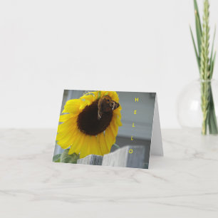 Gult Solros med Buckeye Butterfly Kort