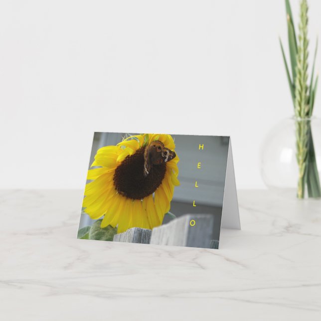 Gult Solros med Buckeye Butterfly Kort (Framsida)