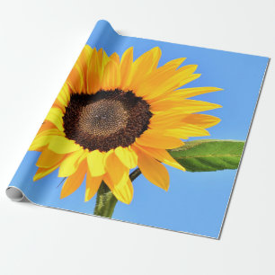 Gult Solros mot Sol på Blå himmel - Sommar Presentpapper