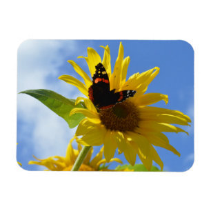 Gult Solros och rödamiral Butterfly Magnet