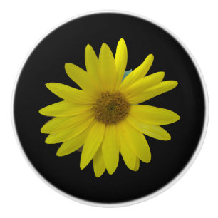 Gult Solros på svart bakgrund Knopp