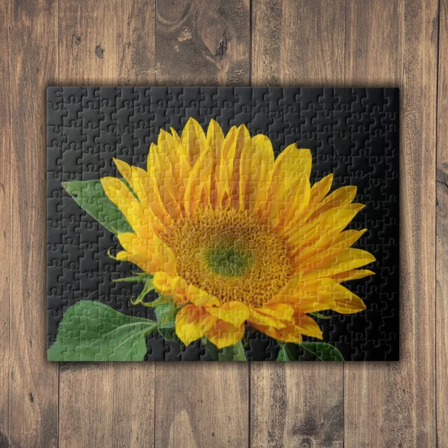 Gult Solros på svart bakgrund Pussel (Yellow Sunflower on Black Background Jigsaw Puzzle)