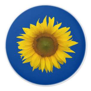 Gult Solrosblomma Elegant Blue Knopp