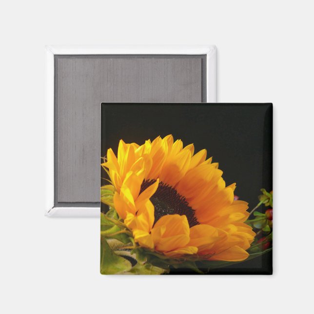 Gult SolrosBlommar Magnet (Front/Back)