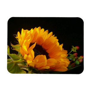 Gult SolrosBlommar Magnet