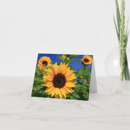 Gult Solrosblommor Blommigt Blankt Notecard Kort