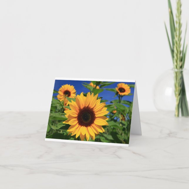 Gult Solrosblommor Blommigt Blankt Notecard Kort (Framsida)