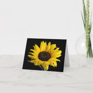 Gult Solrosblommor Flower Hej Kärlek Tankar på dig Tack Kort